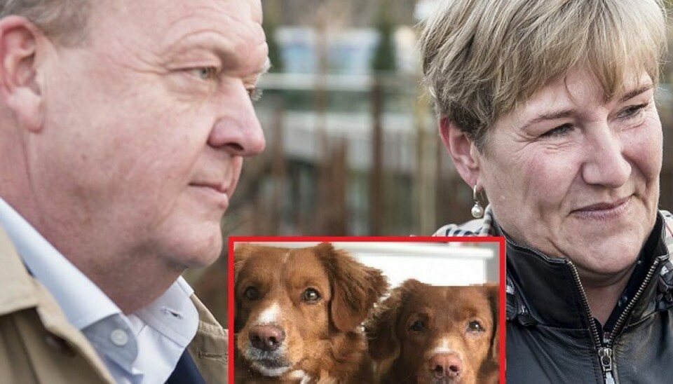 Lars og Sólrun Løkke Rasmussen mangler en af deres hunde. KLIK for mere. (Foto: Mads Claus Rasmussen/Ritzau Scanpix) Lars og Sólrun Løkke Rasmussen mangler en af deres hunde. KLIK for mere. (Foto: Mads Claus Rasmussen/Ritzau Scanpix)