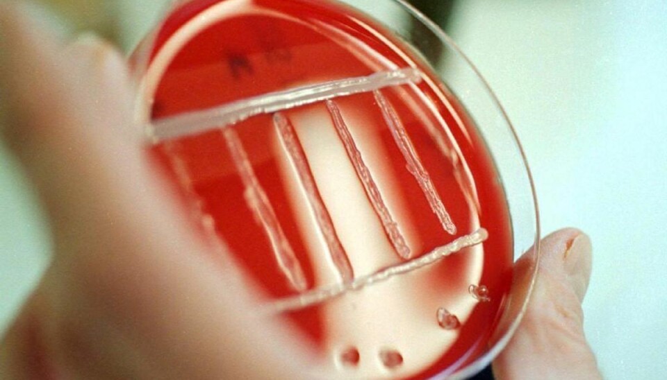 Listeria-ramt pølsemager kræver erstatning Listeria. Arkivfoto: Colourbox