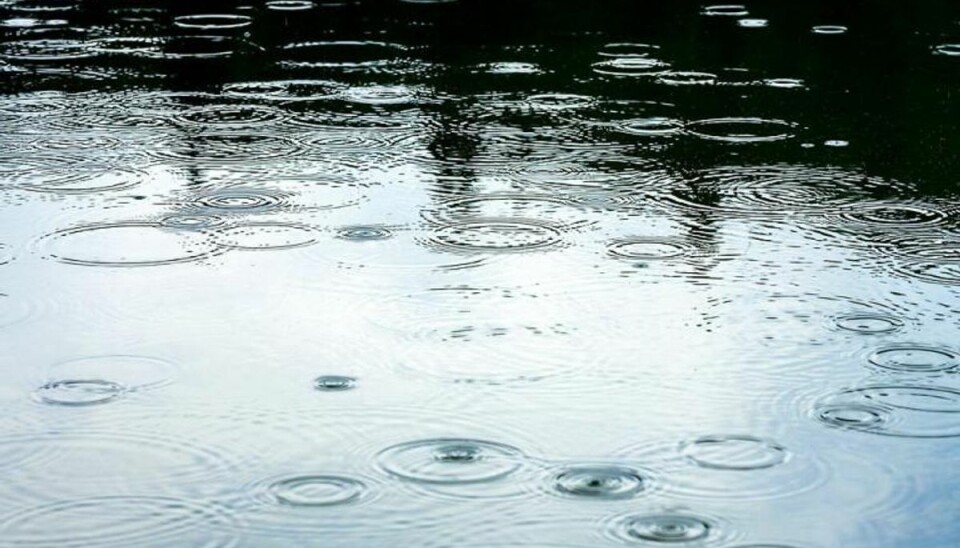 Foto: Scanpix Nordvestjylland risikerer lidt regn her i weekenden. Ellers holder det formentligt tørt.Foto: Scanpix