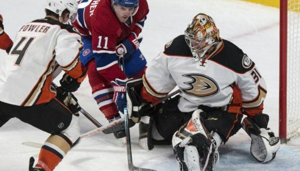Andersen lukker godt af i ny NHL-sejr Newspaq
