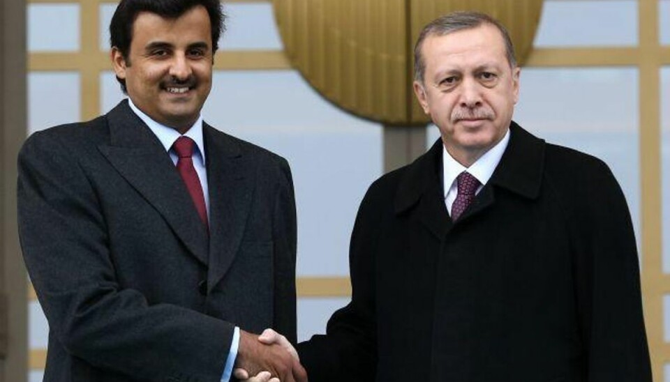 Dreng anholdt for fornærmelse af Erdogan Newspaq