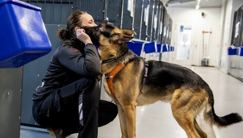 Jack og Karina Fisker fanget i et kærligt øjeblik på Nordjyllands Internat. Foto: Rene Schütze Jack og Karina Fisker fanget i et kærligt øjeblik på Nordjyllands Internat. Foto: Rene Schütze