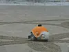 The Beachbot