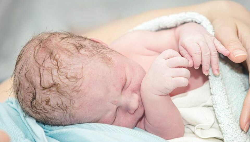 Britisk underhus godkender tre forældre til en baby Foto: Scanpix