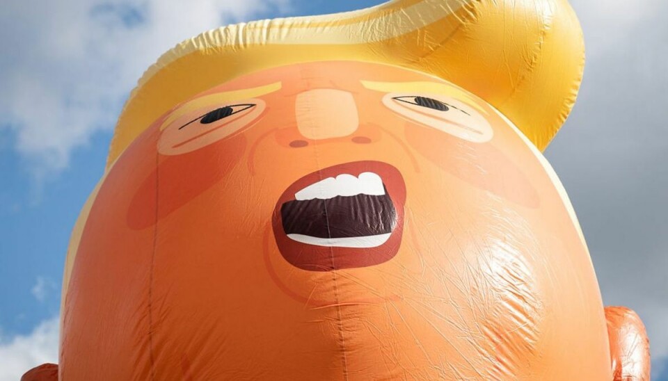Han er landet i England Ballonen, der forestiller Donald Trump, skal på museum. Foto: Niels Christian Vilmann/Ritzau Scanpix