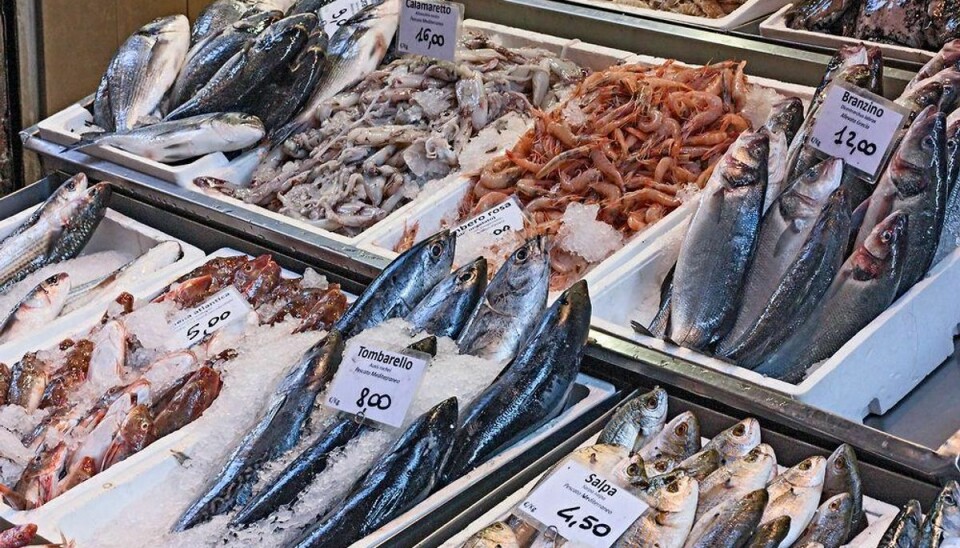 Fiskehandlere er en af de nye brancher, som i fremtiden vil blive omfattet af forbrugerklagesystemet. Foto: Scanpix
