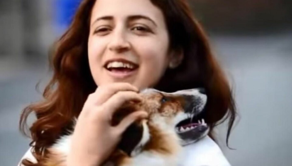 Tam ræv tror, den er en hund