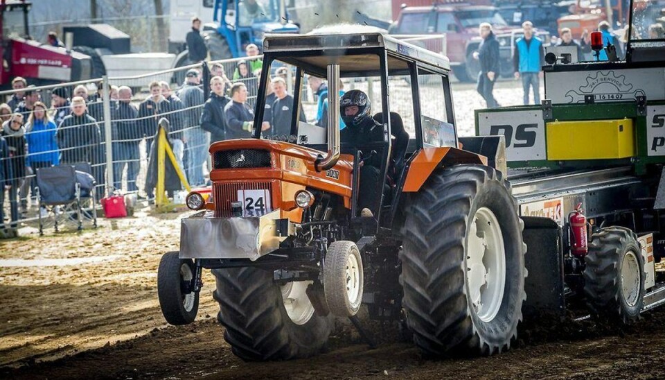 Se billederne: Dieselrøg og hestekræfter Traktortræk i Borris. Foto: Jørgen Kirk/Scanpix.