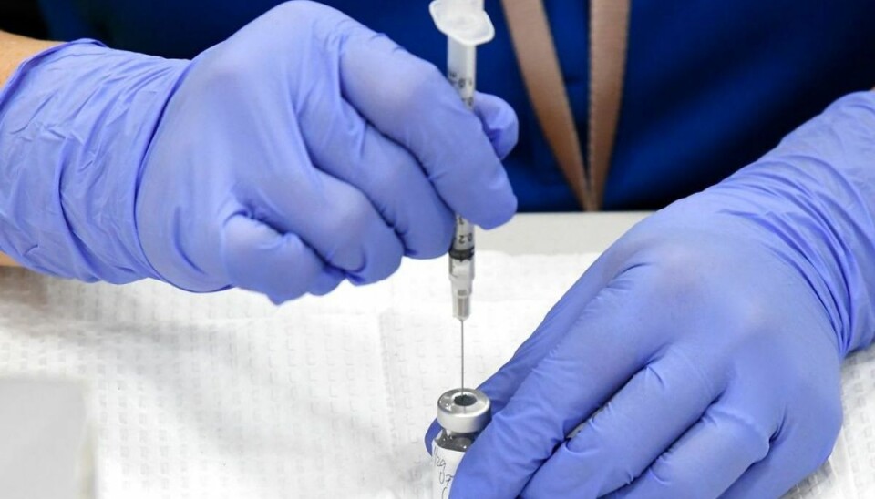 Eksperter: Gyldne dråber bør gives til kæledyr Der er kamp om doserne, og nu mener flere eksperter, at også dyr bør omfattes af vaccinationsprogrammerne. Foto: Scanpix