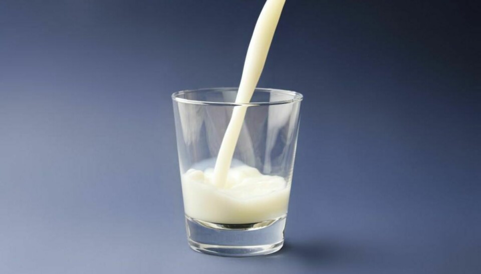 Drik op! mange familier i det sydsjællandske har mælk nok til de næste mange dage. Arkivfoto: Colourbox