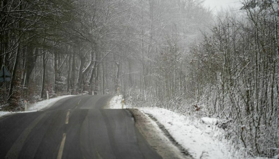 I det nordjyske vil man formentlig opleve sne på vejene. Foto: Claus Rasmussen/Ritzau Scanpix)