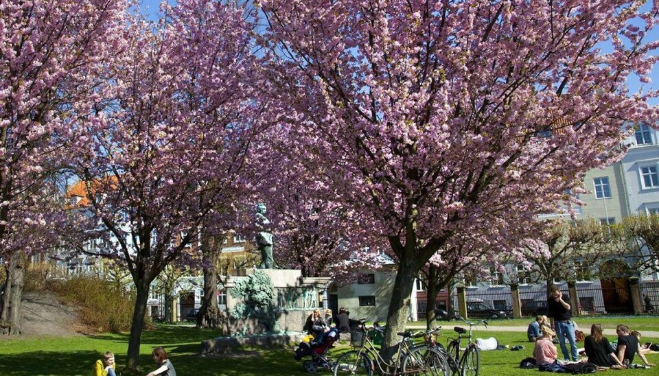 Marts slog global varmerekord Foto: Torben Christensen/Scanpix