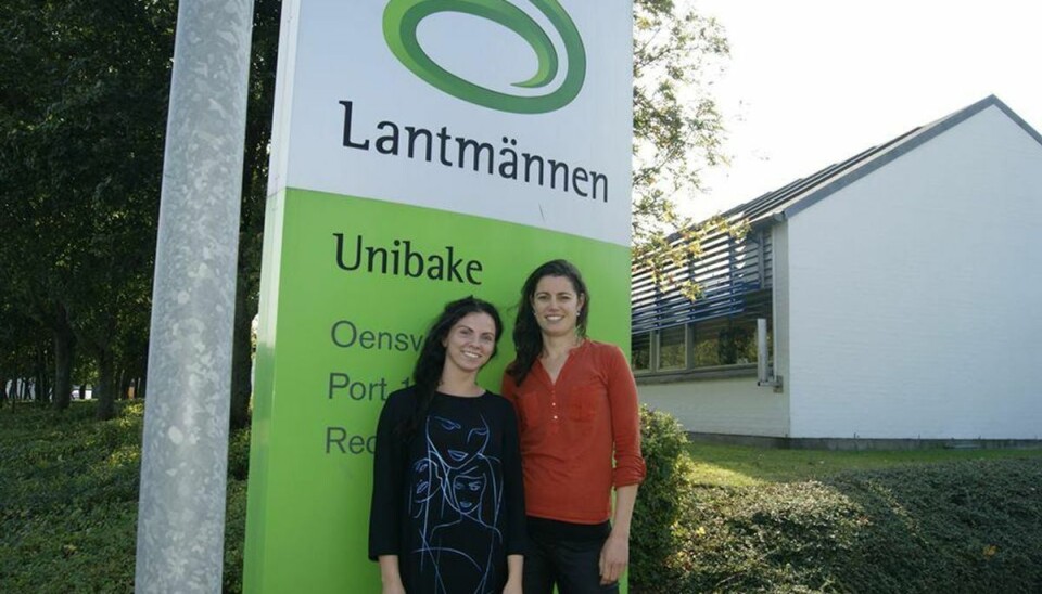 Internationale studerende gør en forskel i Horsens Virksomhederne har god gavn af de internationale studerende. Foto: Läntmannen Unibake/Presse