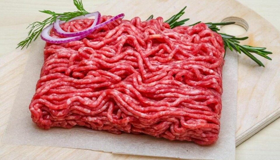 Pas på: Salmonella i hakket oksekød Der er påvist salmonella i hakket oksekød fra Frank’s Kød Engros. Foto: Iris/Scanpix (Modelfoto)