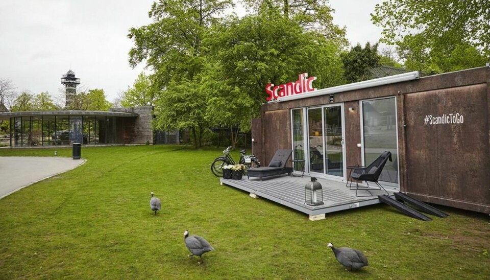 Overnatningen i Zoo gav 17.000 kroner til truede næsehorn. Foto: Magnus Klitten