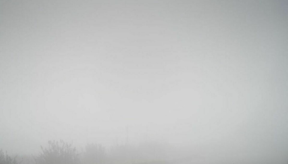Den tætte tåge – der bevirker meget lav sigtbarhed – forudser vagtchefen vil give problemer i trafikken. (Foto: Mads Claus Rasmussen/Ritzau Scanpix)