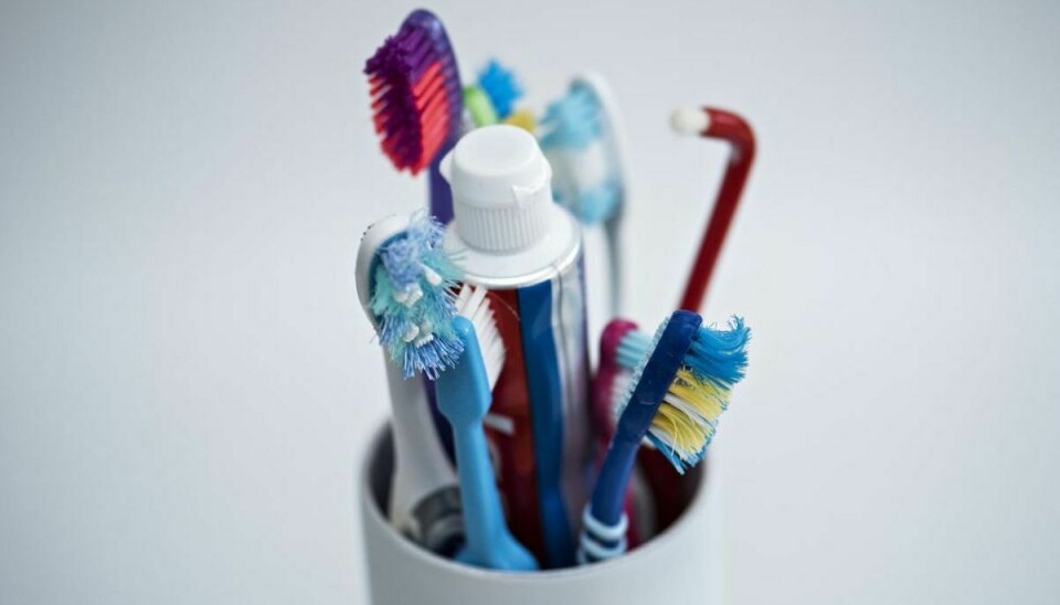 Du bør ikke være bekymret for, hvad din tandbørste gemmer på. Så længe du husker at børste dine tænder og passe på dig selv, forstås. Genrefoto: Scanpix.