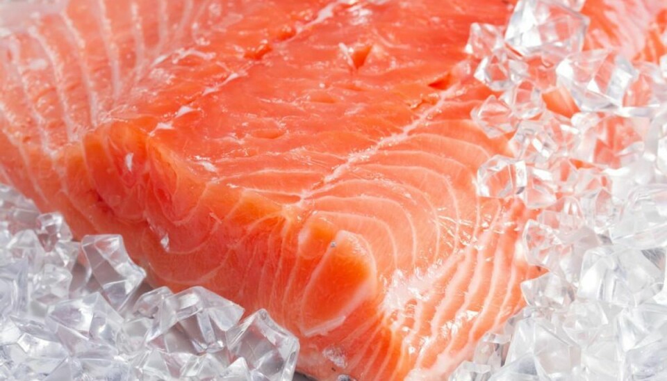 Smittekilde fundet: Fire personer ramt af listeria Fødevarestyrelsen har sporet kilden til et mindre sygdomsudbrud af listeria, der har ramt fire personer, til fiskeproducenten Hjerting Laks.