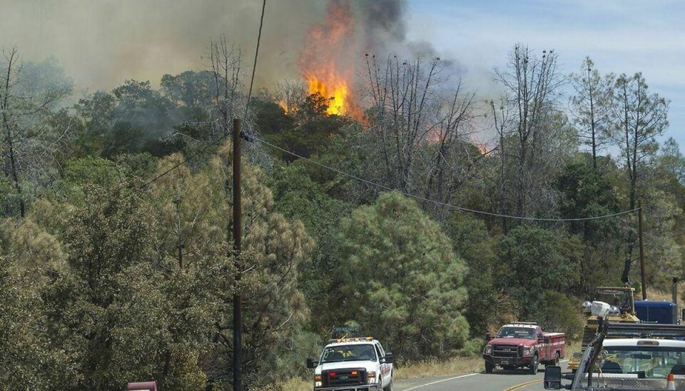 Det er skovbrande som disse i Californien folk flygter fra. Foto: Scanpix.
