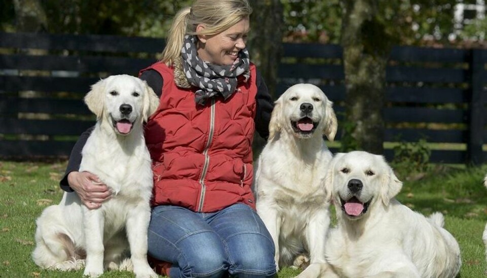 Sådan gør du hundehvalpen mindre nervøs Kirsten Laugesens har gode råd til, hvordan man som nyslået hundeejer bedst muligt tackler en stresset og utryg hvalp.