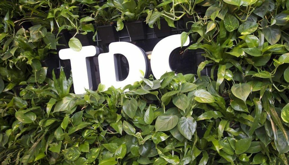 Norge redder TDCs danske kundeflugt TDC her fremgang i Sverige og Norge. Foto: Kim Haugaard/Scanpix.