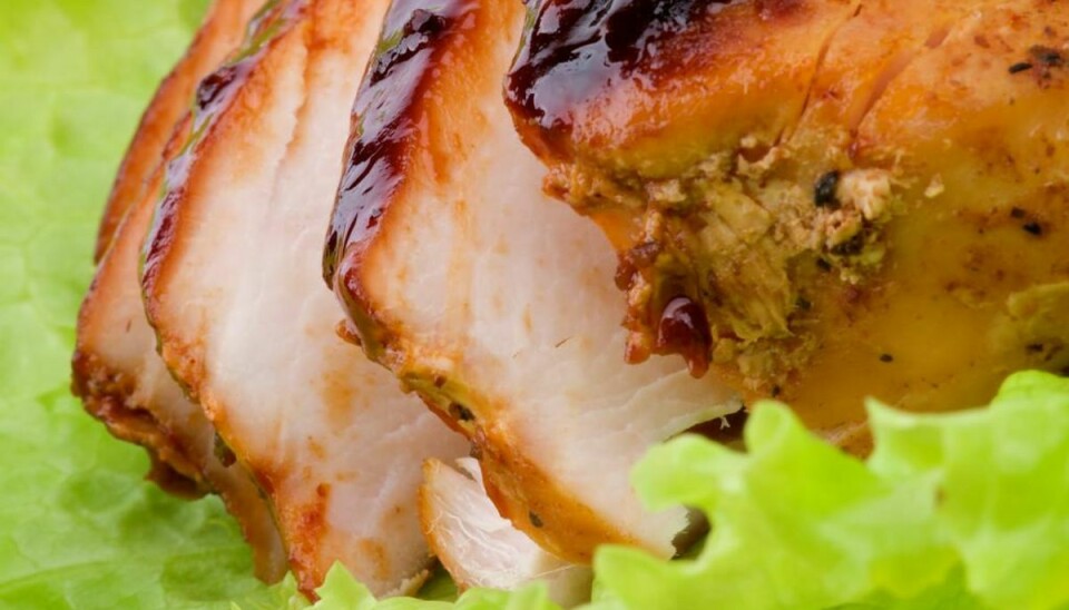 Fødevarestyrelsen advarer mod salmonella i et parti kalkunkød. Se her i artiklen hvor det er solgt. Foto: Colourbox.