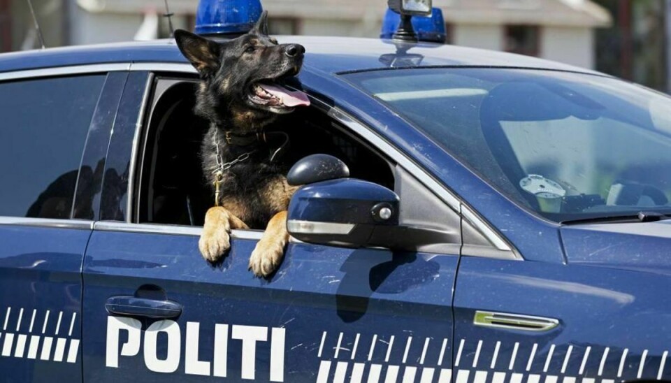 Politiet har blandt andet brugt hunde i eftersøgningen af Jette Brandstrup. Foto: Colourbox