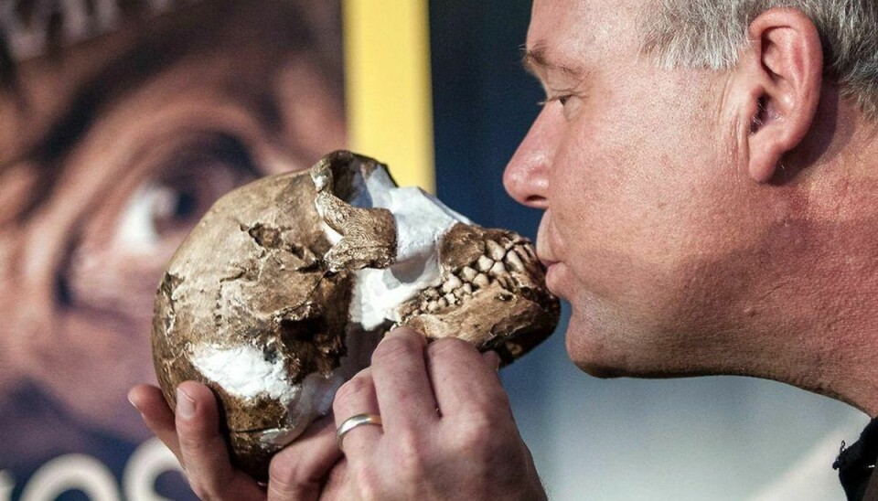 Professor Lee Berger kysser en kopi af sklet af den nyfundne menneskeart Homo Naledi. Foto: STEFAN HEUNIS/Scanpix