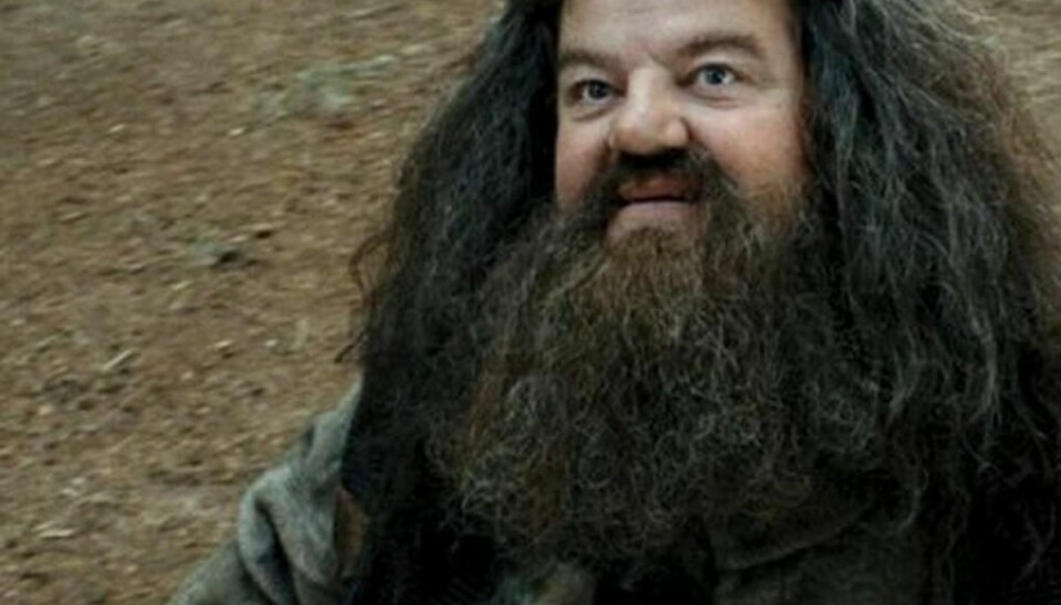 23 skuespillere fra “Harry Potter – sådan ser de ud i dag Hagrid dengang