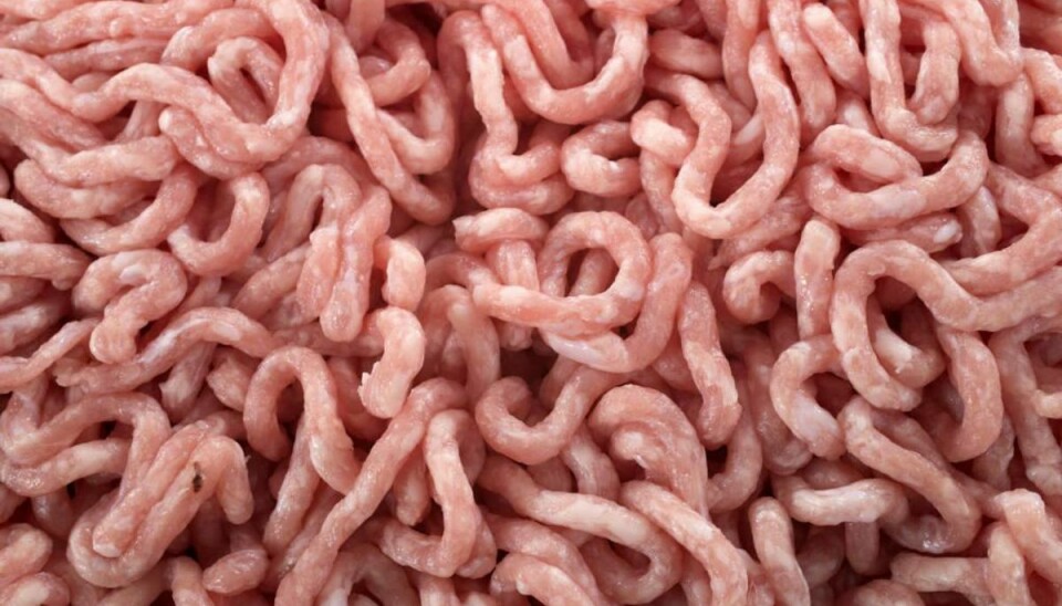 Der er fundet salmonella i hakket flæskekød solgt til en række restauranter og virksomheder. Foto: Colourbox