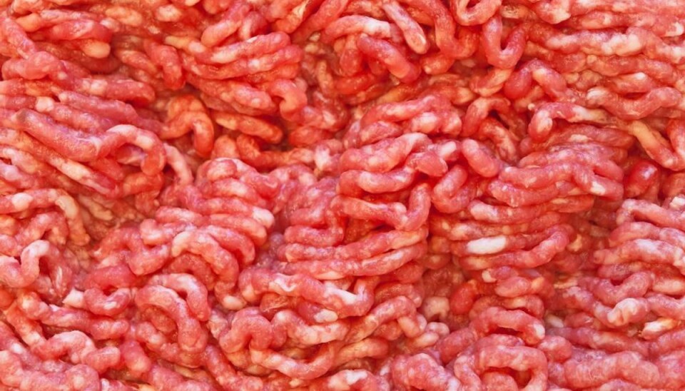 Hakket oksekød med salmonella-bakterier er solgt til en række spisesteder – holdbarhedsdatoen er overskredet. Foto: Colourbox
