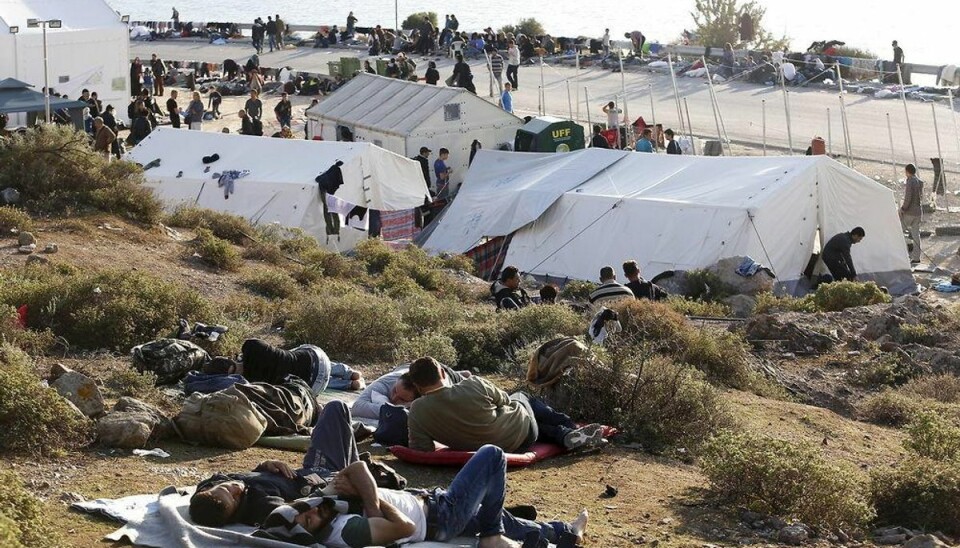 Flygtningekrise: Rejseselskab dropper Lesbos Foto: Giorgos Moutafis/Scnapix