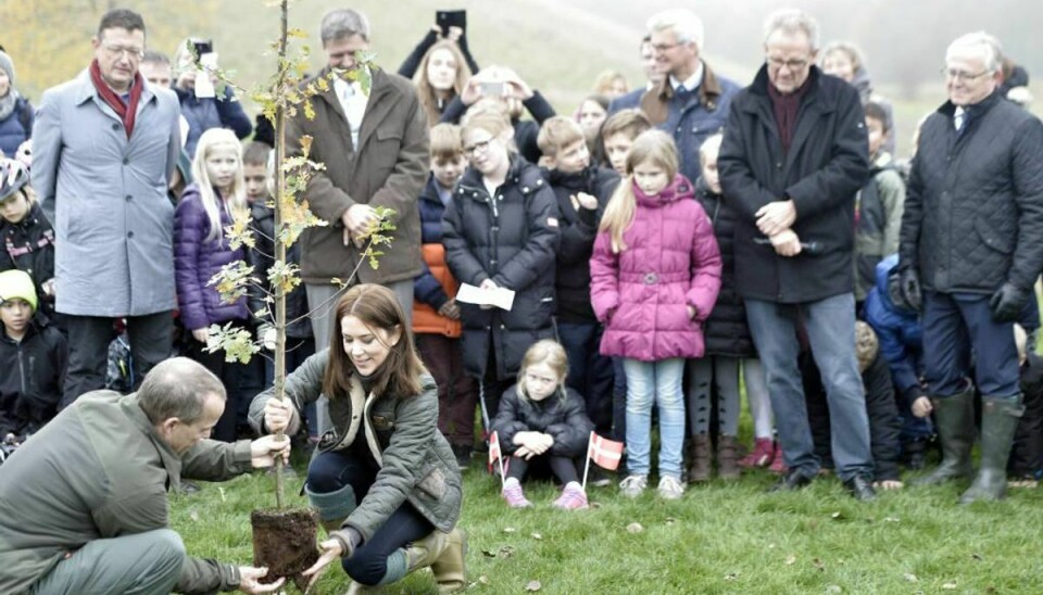 Kronprinsesse Mary planter det første træ og skyder klimakampagnen “Genplant Planeten” i gang sammen med 120 skolebørn i naturcenter Herstedhøje mandag d. 2 november 2015. Foto: Simon Skipper/Scanpix