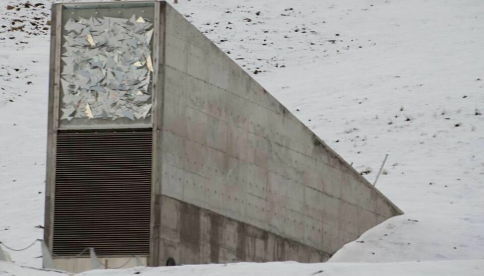 Skal redde menneskeheden: Bunker på Svalbard kaldes dommedagsboksen