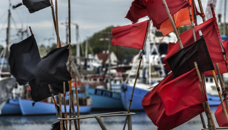 To døde og to blev hjerneskadede: Ulykken henlagt To fiskere omkom og en pumpemand og en Falckredder fik hjerneskader, da en aflæsning af fisk gik helt galt den 3. august 2014 i Strandby Havn. Foto: Steffen Ortmann/Scanpix