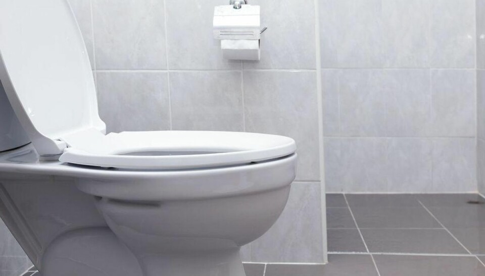 Så meget koster dit løbende toilet Foto: Scanpix (Modelfoto)
