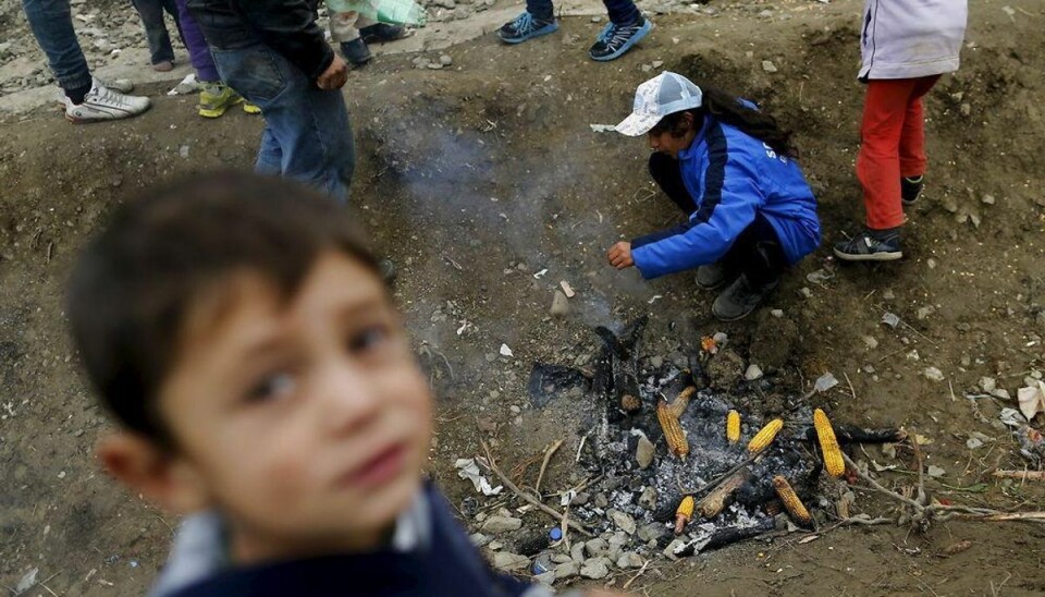 10.000 flygtninge kom til Kroatien på en dag Omkring 65.000 flygtninge menes at have krydset grænsen til Kroatien i løbet af de seneste ti dage. Foto: ANTONIO BRONIC/Scanpix