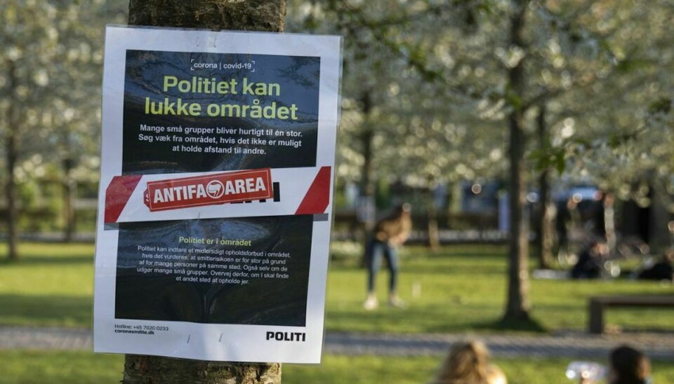 Mellem 20 og 25 personer var søndag samlet på et grønt område. (Foto: Mikkel Berg Pedersen/Ritzau Scanpix)