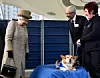 Dronning Elizabeth nærer stor kærlighed til corgier. Foto