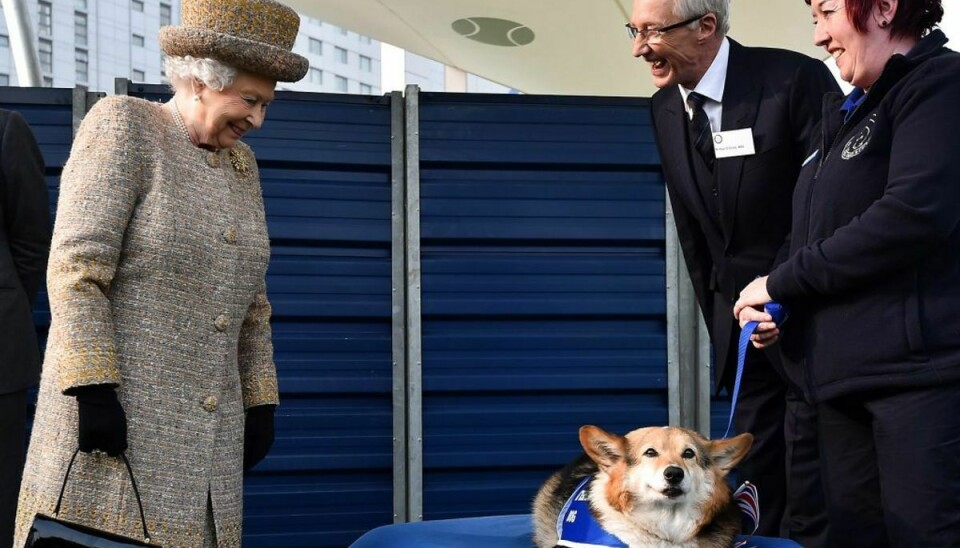Dronning Elizabeth nærer stor kærlighed til corgier. Foto