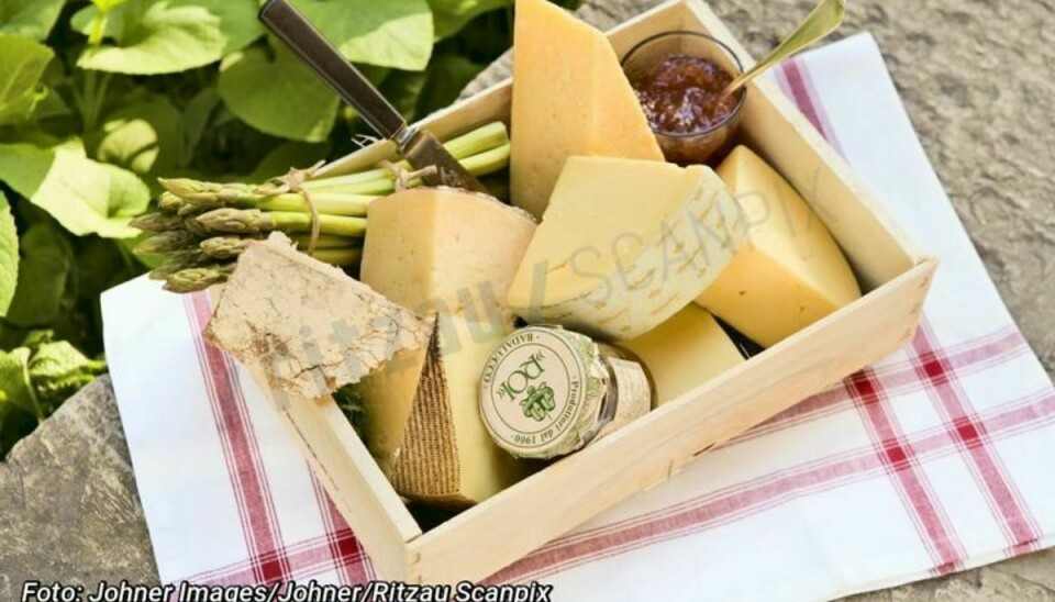 Skimmel betyder at en ost bliver trukket tilbage. Foto: Johner Images,
