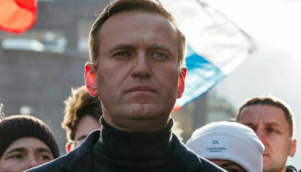 Den sibiriske læge, som har behandlet Putin-kritiker Aleksej Navalnyj, forsvandt fredag. (Foto: Shamil Zhumatov/Ritzau Scanpix)