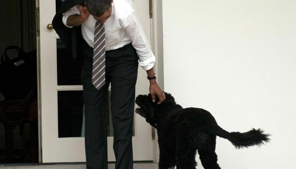 Her er Obama og hunde Bo. Foto: Jim WATSON / AFP)