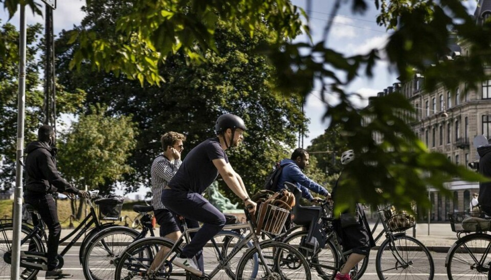 I perioden 2015 til 2019 er 350-400 cyklister årligt kommet alvorligt til skade eller blevet dræbt i et kryds. Det viser tal fra Rådet for Sikker Trafik. Genrefoto: Thomas Lekfeldt/Ritzau Scanpix
