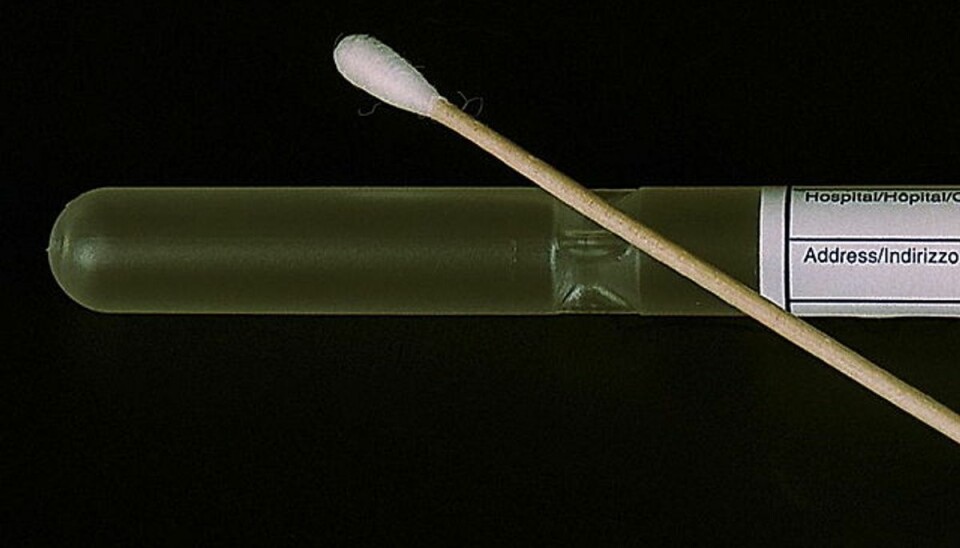 Afslører: Så ofte giver kviktest forkert svar En antigen-test er ikke lige så præcis som en PCR-test, lyder det fra SSI. Foto: Scanpix.