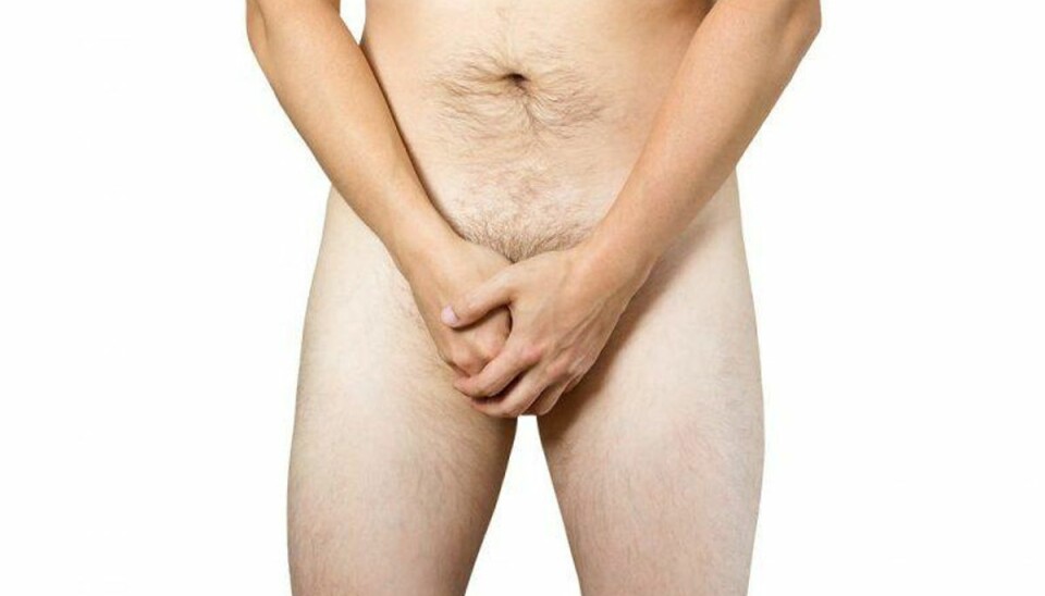 En mand måtte på skadestuen med en brækket penis. Klik videre og se den – VI ADVARER MOD BILLEDE, DER KAN VIRKE STØDENDE. Foto: Scanpix En mand måtte på skadestuen med en brækket penis. Klik videre og se den – VI ADVARER MOD BILLEDE, DER KAN VIRKE STØDENDE. Foto: Scanpix