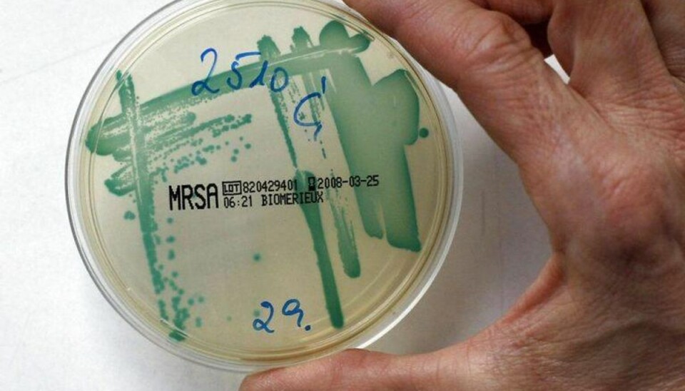 Flere smittede efter MRSA-udbrud i Kolding De er fundet flere tilfælde af den resistente MRSA-bakterie på Kolding Sygehus. Foto: Fabrizio Bensch/Scanpix