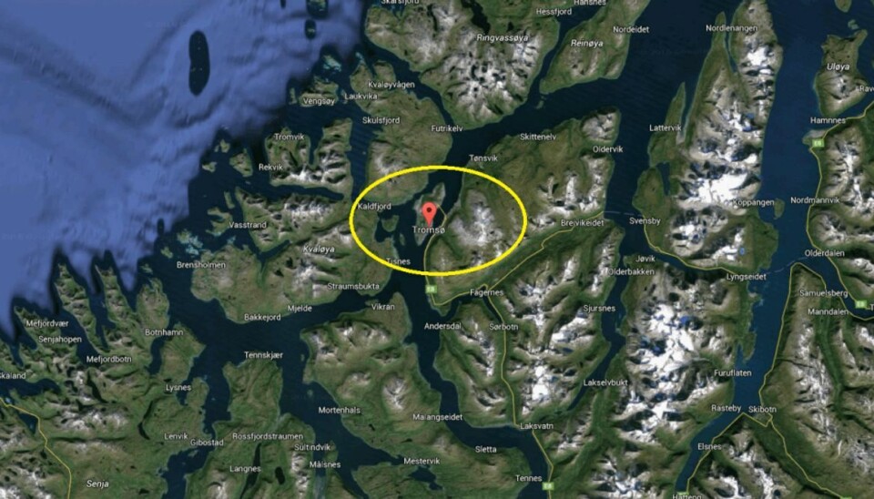 Et-årig lander på græs og overlever fald fra fjerde sal På mirakuløs vis er en et-årig dreng i Norge sluppet godt fra et fald fra fjerde sal, oplyser politiet i Tromsø.