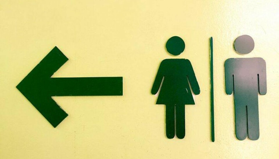 Forældre i chok: 15-årig pige knaldede 25 drenge på skoletoilet