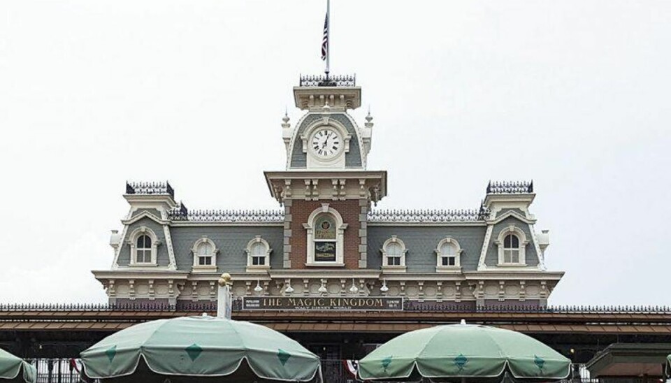 Alligator angriber to-årig i Disney World: Desperat far kaster sig i vandet